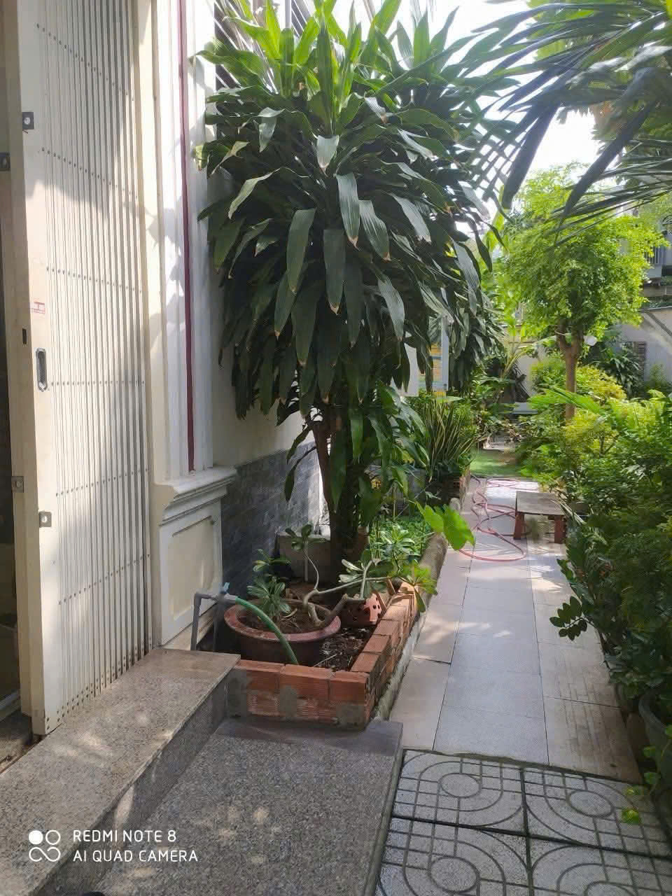 MẶT TIỀN TÂN XUÂN – TÔ KÝ – 5x25M – NHÀ 3 TẦNG + SÂN VƯỜN – CHỈ 8.8 TỶ 5