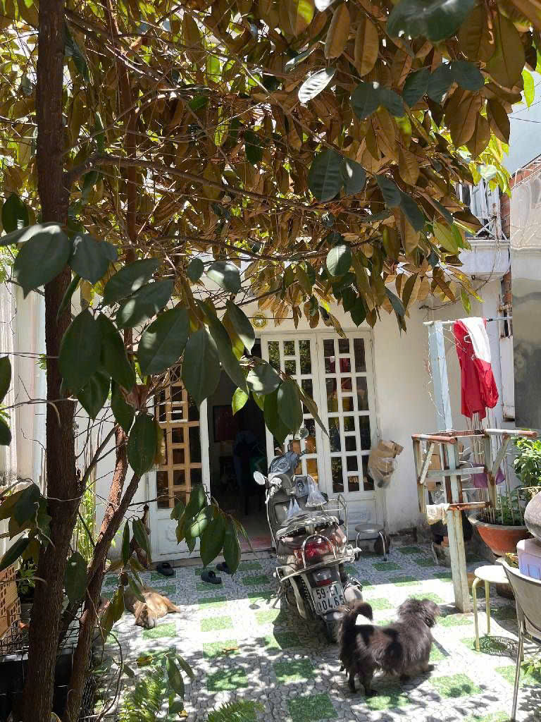 HOT NHÀ QUẬN 7 – GẦN LÂM VĂN BỀN 4.2M x19M Chỉ 8 TỶ 8 3