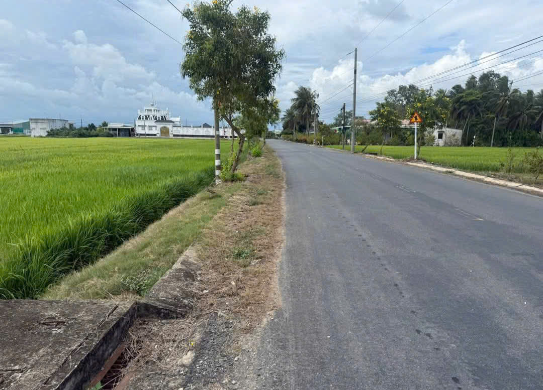 Bán đất mặt tiền Cao Thị Mai, Bình Trinh Đông , Tân Trụ dt 440,8m2 (295,7m2 thổ) giá 2,45 tỷ