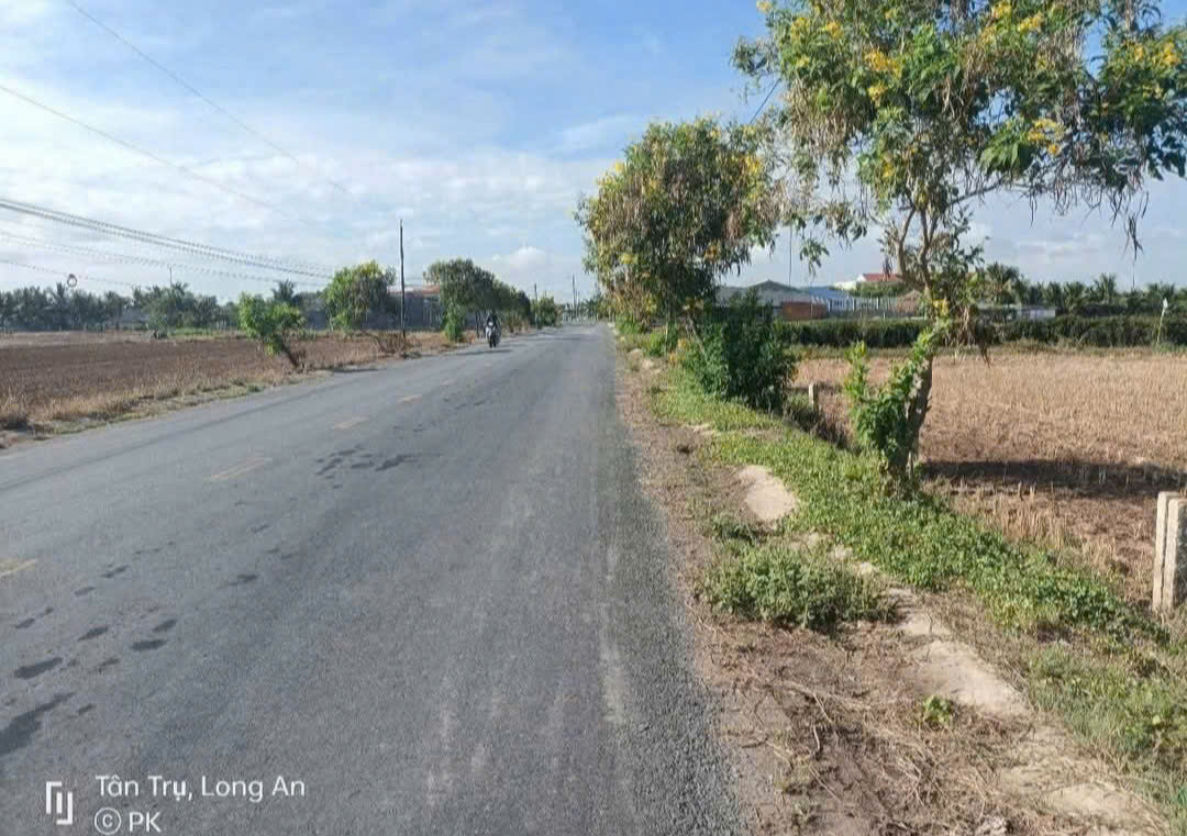 Bán đất mặt tiền Cao Thị Mai, Bình Trinh Đông , Tân Trụ dt 440,8m2 (295,7m2 thổ) giá 2,45 tỷ 2