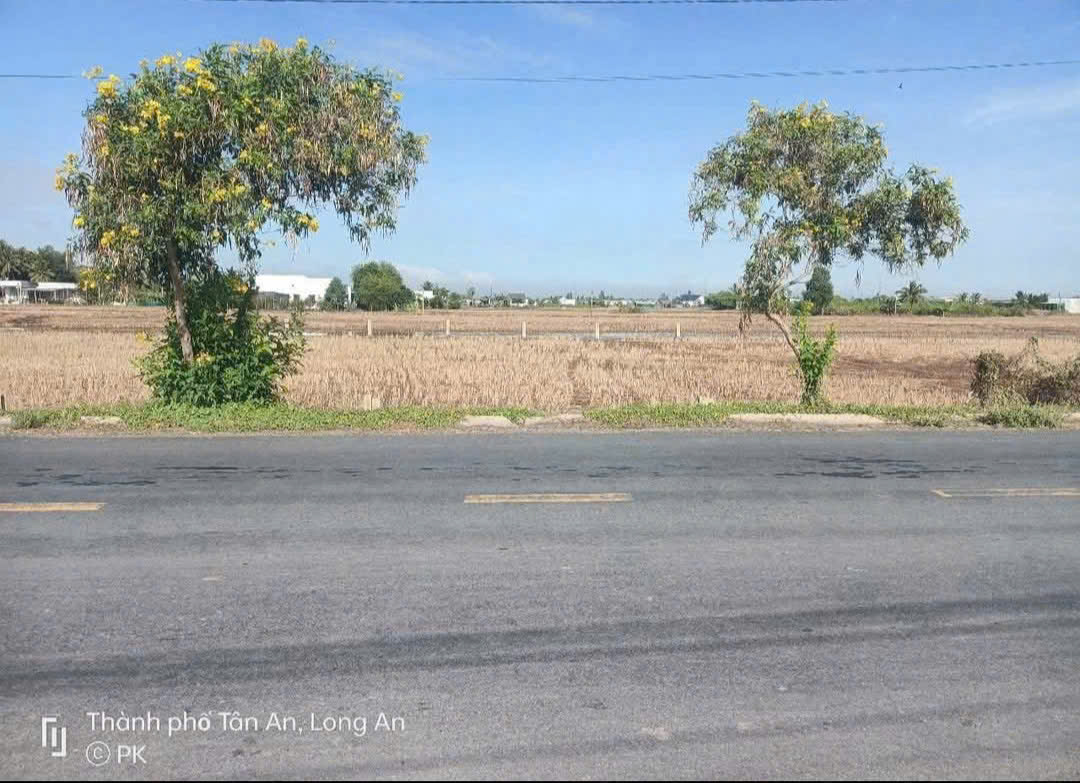 Bán đất mặt tiền Cao Thị Mai, Bình Trinh Đông , Tân Trụ dt 440,8m2 (295,7m2 thổ) giá 2,45 tỷ 4
