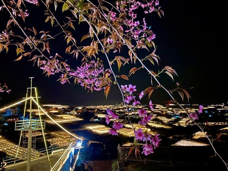 Cho thuê quán Cà phê và Homestay 45 triệu/tháng Hùng Vương phường 11 Đà Lạt 4