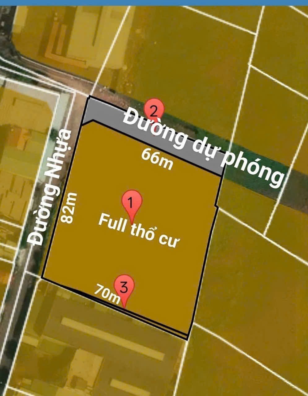 QUỸ ĐẤT VÀNG 5.500M² FULL THỔ CƯ – BÀ ĐIỂM HÓC MÔN – TÁCH LÔ / BÁN SỈ ĐỀU ĐẸP. 2