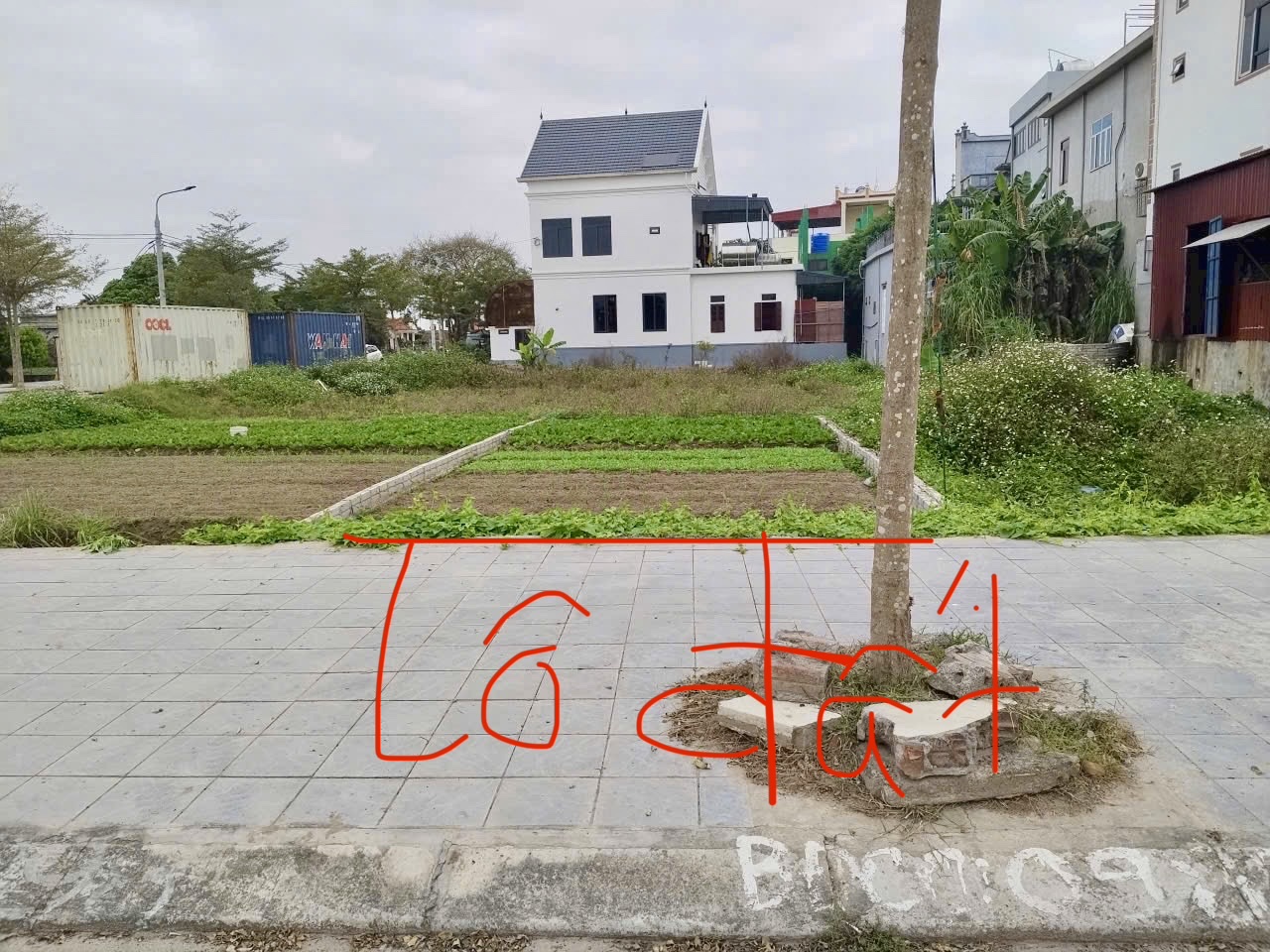 Cần bán Đất Xã Hải Triều, Hải Hậu, Diện tích 100m², Giá 1 tỷ300 Triệu