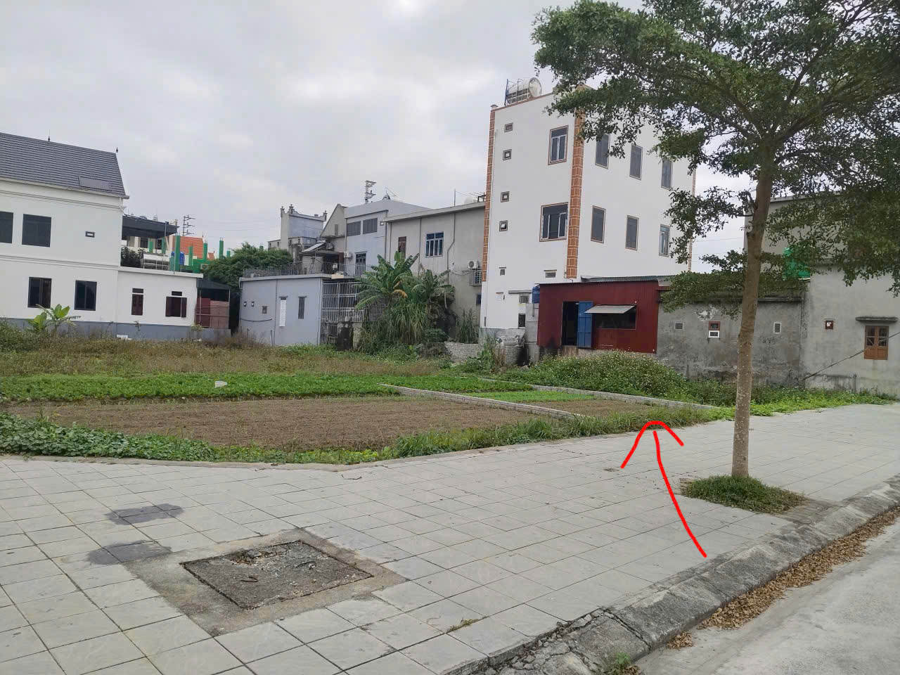 Cần bán Đất Xã Hải Triều, Hải Hậu, Diện tích 100m², Giá 1 tỷ300 Triệu 2