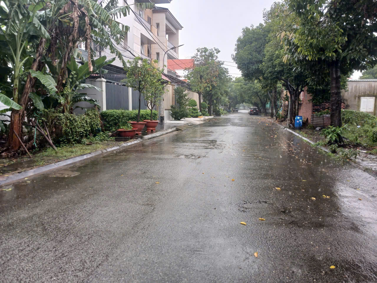 Cần bán Đất Phường Linh Trung, Thủ Đức, Diện tích 167m², Giá 016 Tỷ