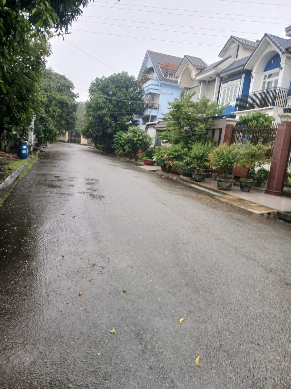 Cần bán Đất Phường Linh Trung, Thủ Đức, Diện tích 167m², Giá 016 Tỷ 2