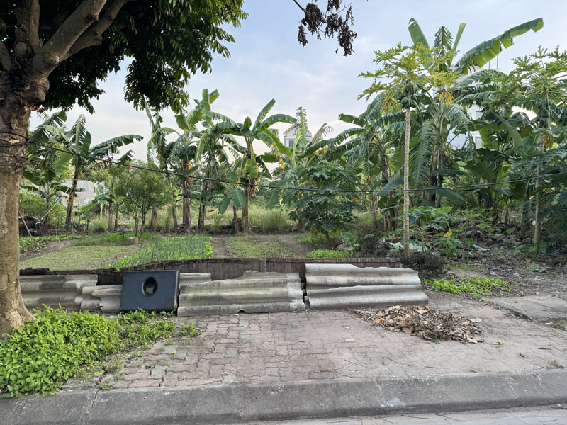 Chính chủ bán 80m2 đất TĐC Kim Sơn, Xã Thuận An - Gần Học viện Tòa Án, Sổ đỏ sẵn 3