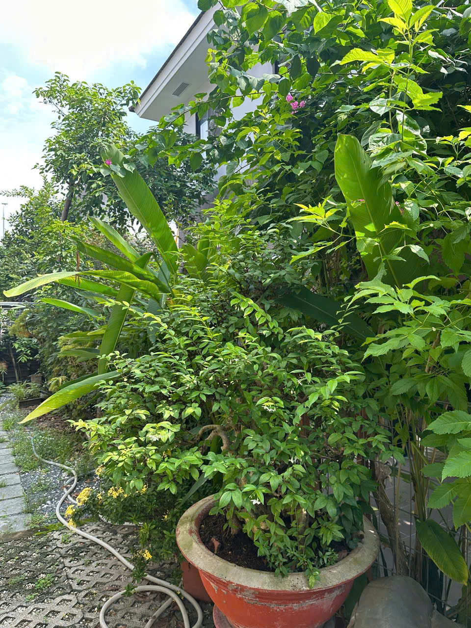 Cần bán Nhà mặt tiền Quận 9, Hồ Chí Minh, Diện tích 169m², Giá 024 Tỷ 6