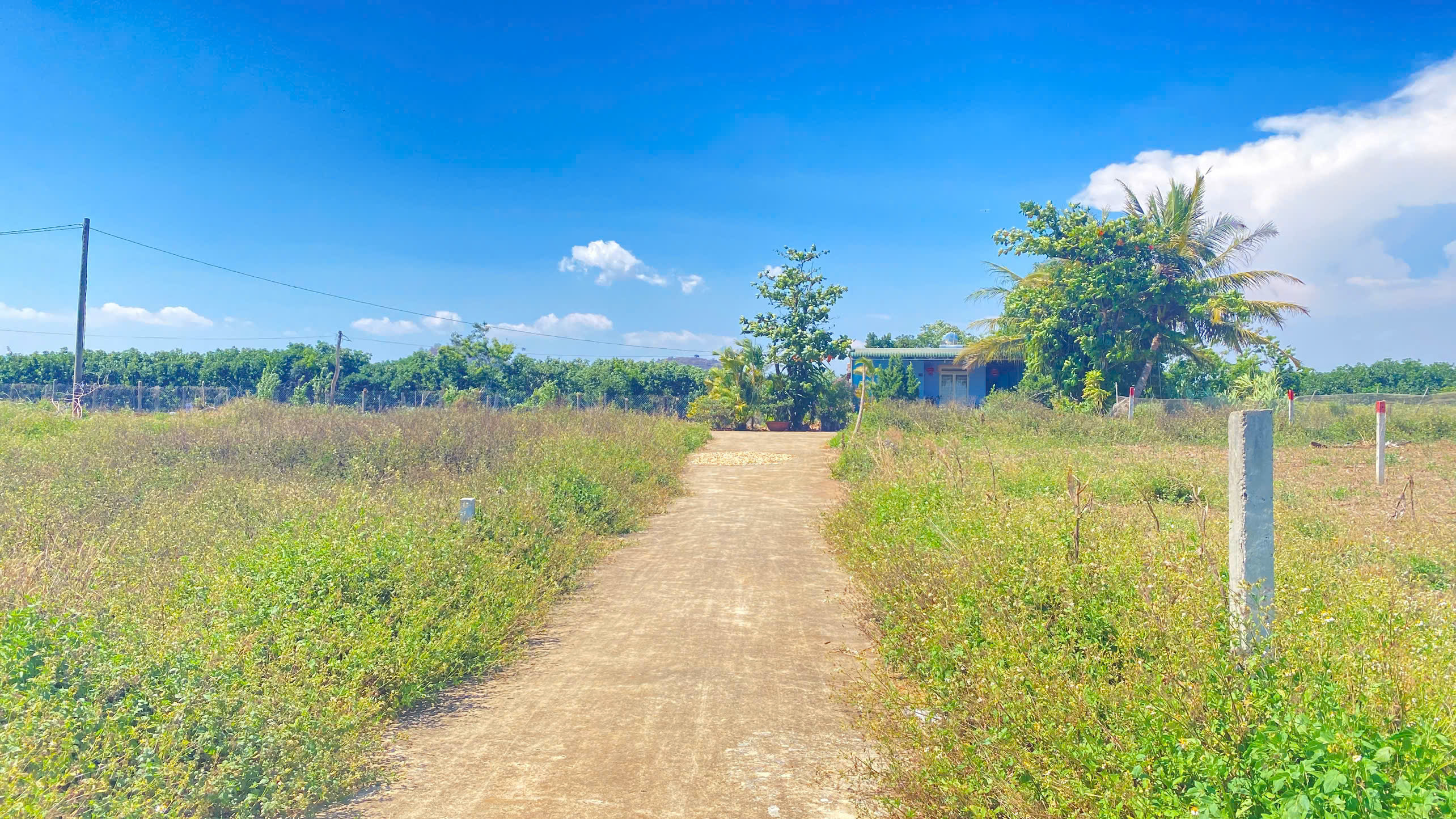 Đất hẻm dt 724, phú hội cũ, đức trọng, lâm đồng