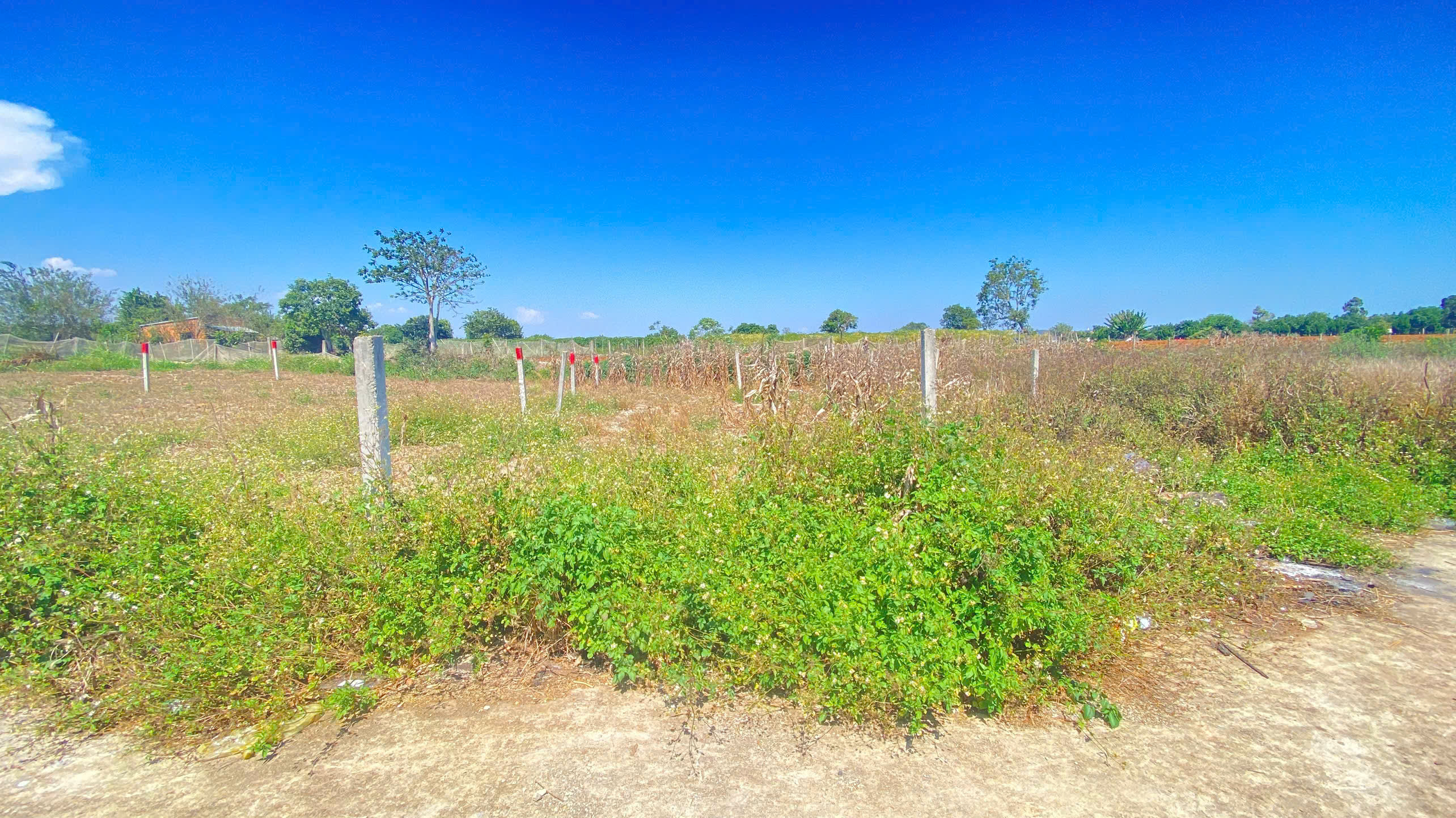 Đất hẻm dt 724, phú hội cũ, đức trọng, lâm đồng 2