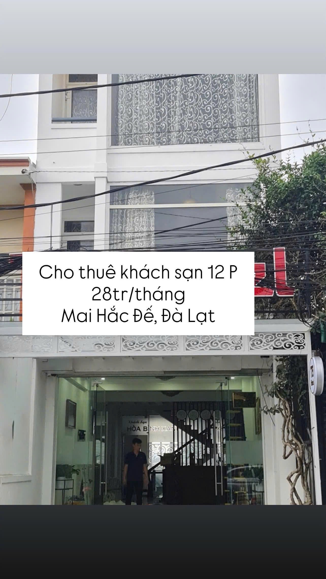 Cho thuê khách sạn 12 phòng 28 triệu/tháng phường 6 Đà Lạt