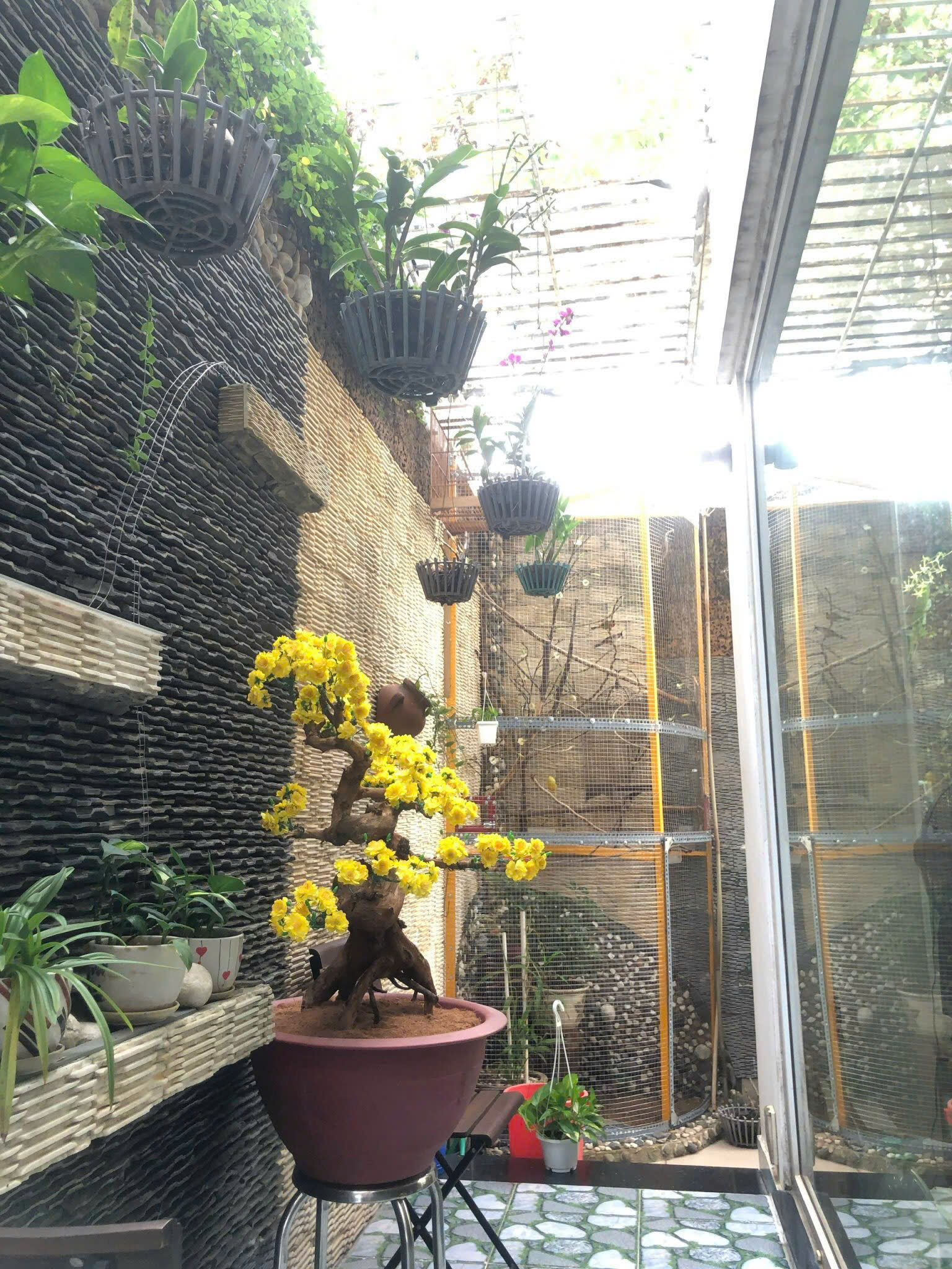 Cần bán Biệt thự Phường Phước Long B, Quận 9, Diện tích 140m², Giá 19.5 Tỷ 10