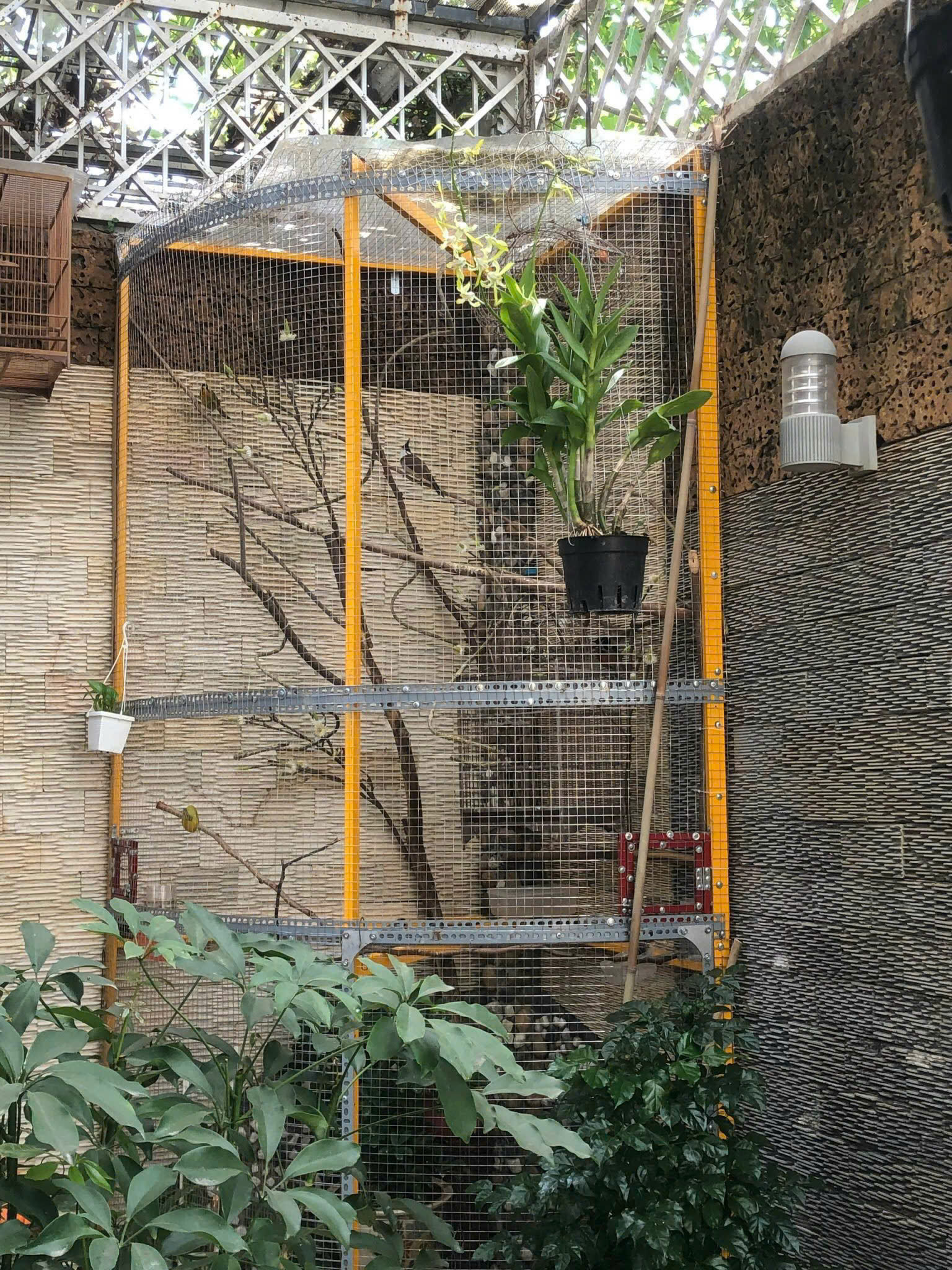 Cần bán Biệt thự Phường Phước Long B, Quận 9, Diện tích 140m², Giá 19.5 Tỷ 11