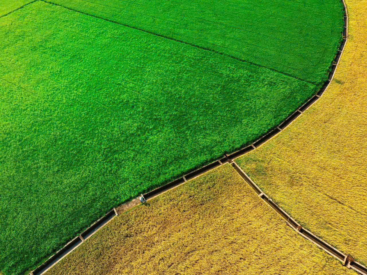 săn ngay lô đất view kênh đồng lúa siêu chill 5