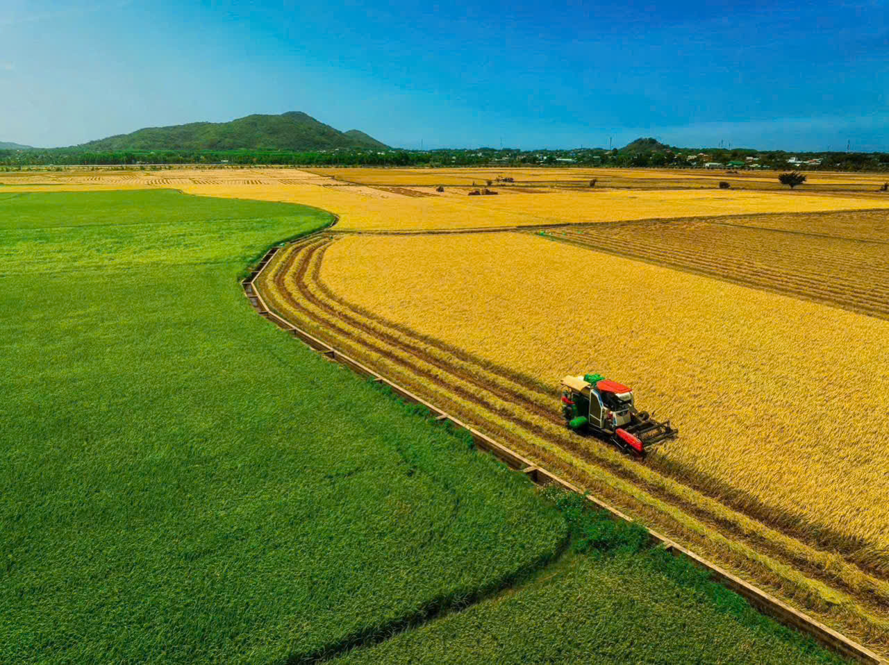 săn ngay lô đất view kênh đồng lúa siêu chill 6