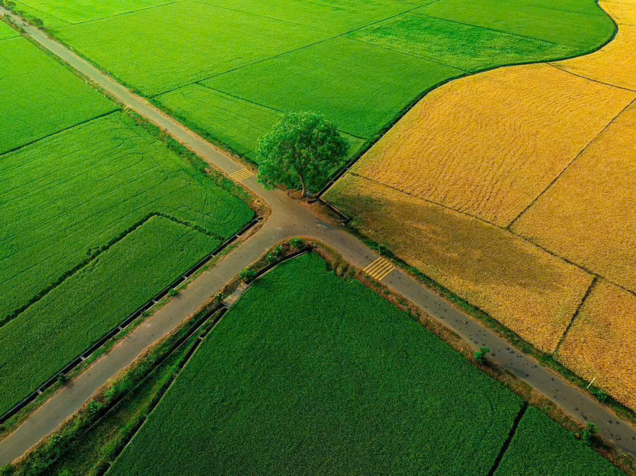 săn ngay lô đất view kênh đồng lúa siêu chill 7