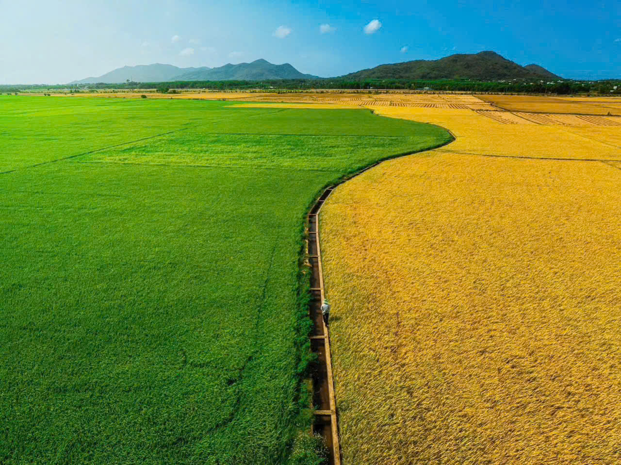 săn ngay lô đất view kênh đồng lúa siêu chill 8