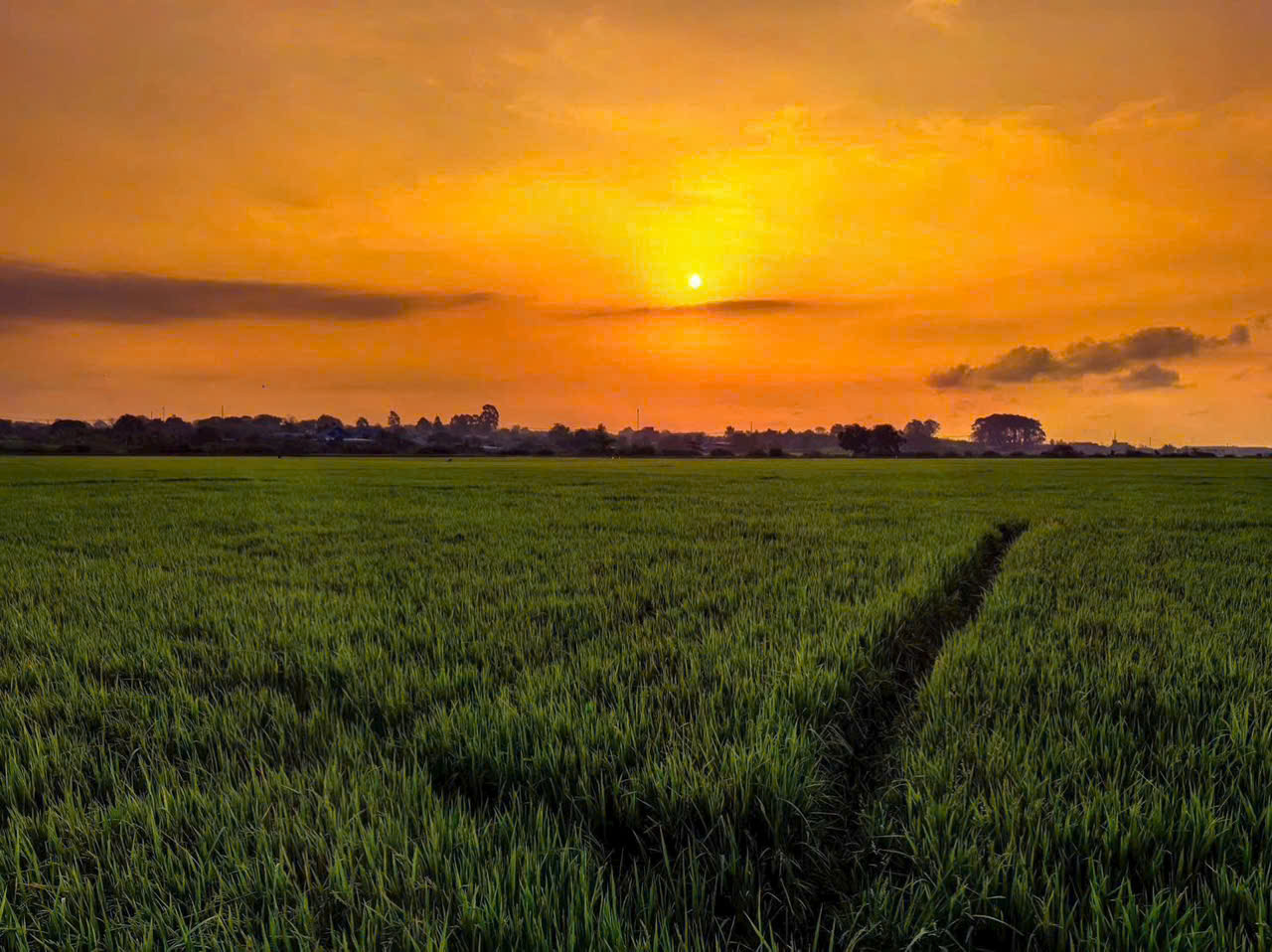 săn ngay lô đất view kênh đồng lúa siêu chill 9