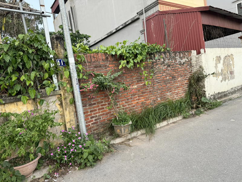 Bán 50,2m2 đất, lưu không 47m2 thôn Xuân Thụy, Bát Tràng. View Sông - Sát Ocean Park - Đường 10m 2