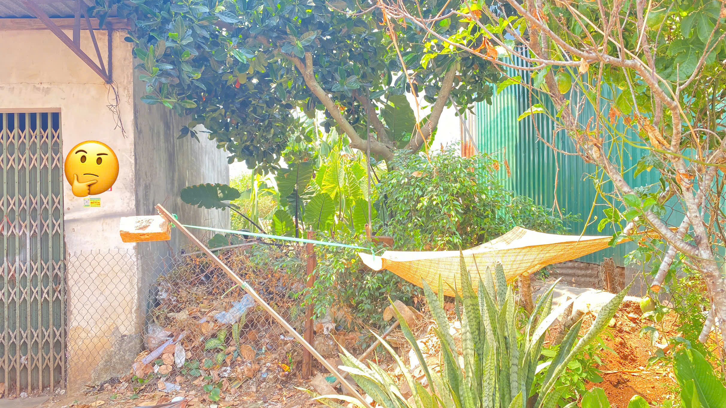 Mặt tiền phạm ngũ lão, trung tâm sầm uất của đức trọng, lâm đồng 2