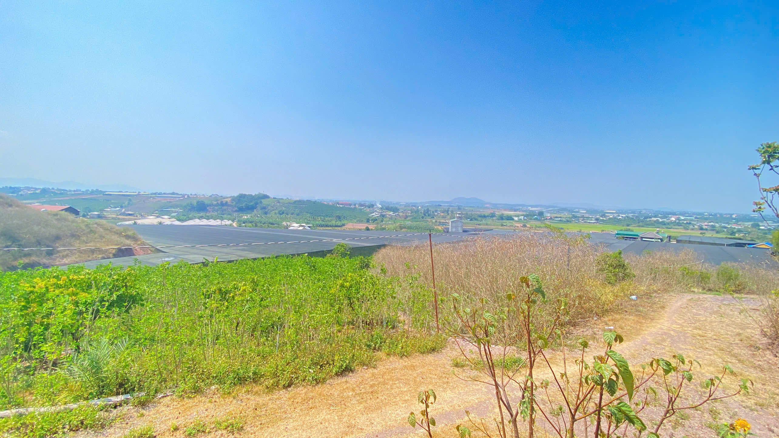 3,3 sào hẻm ql27, n'thôn hạ, đức trọng cũ, lâm đồng 2