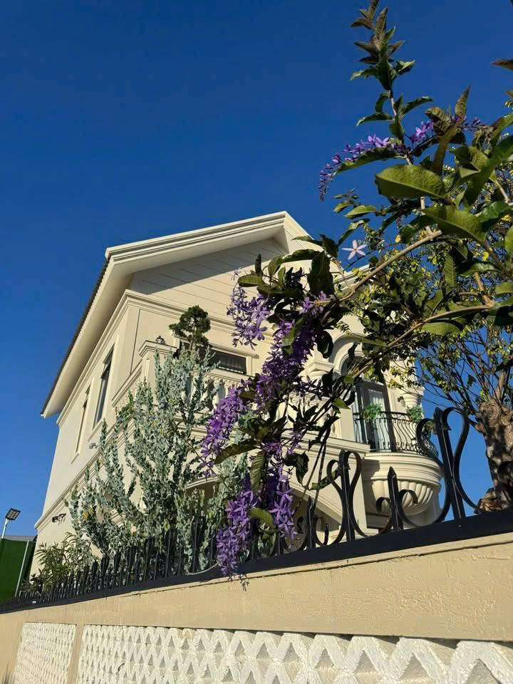 Bán Villa sân vườn 4 phòng Ngô Tất Tố, Phường 8 Đà Lạt 3