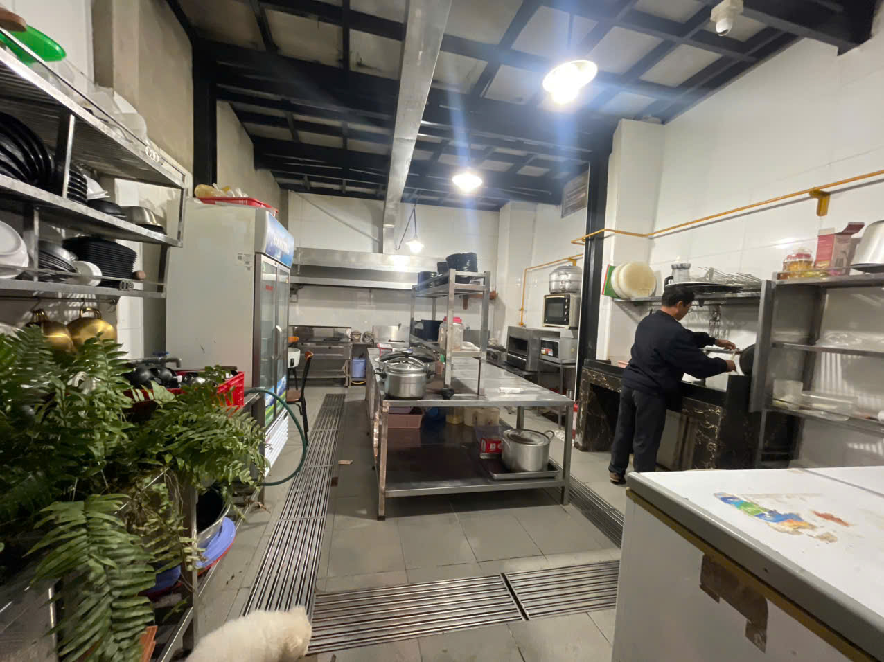 Cho thuê nhà hàng 39 triệu/tháng Trần Khánh Dư phường 8 Đà Lạt 4