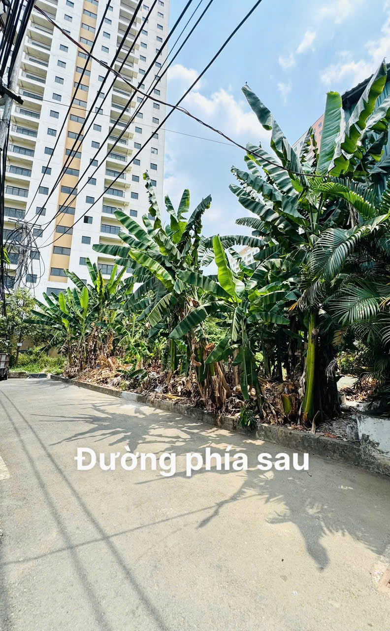 Cần bán Đất Phường An Khánh, Quận 2, Diện tích 365m², Giá 0149 Tỷ 5