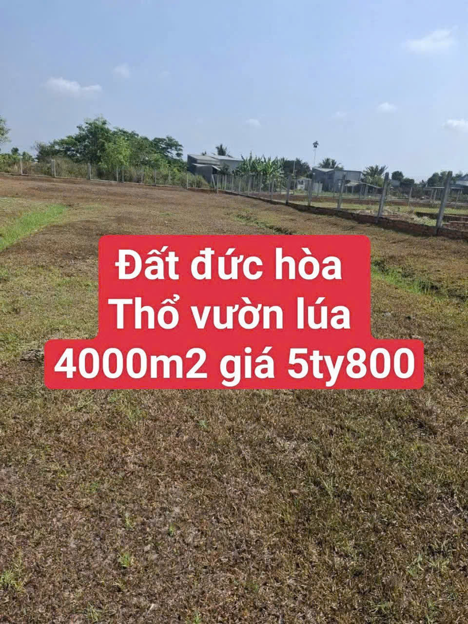 Bán 4000m2 đất ( 350m2 thổ) đường đá xanh xe hơi xã Đức Hòa Thượng, Đức Hòa giá 5,8 tỷ
