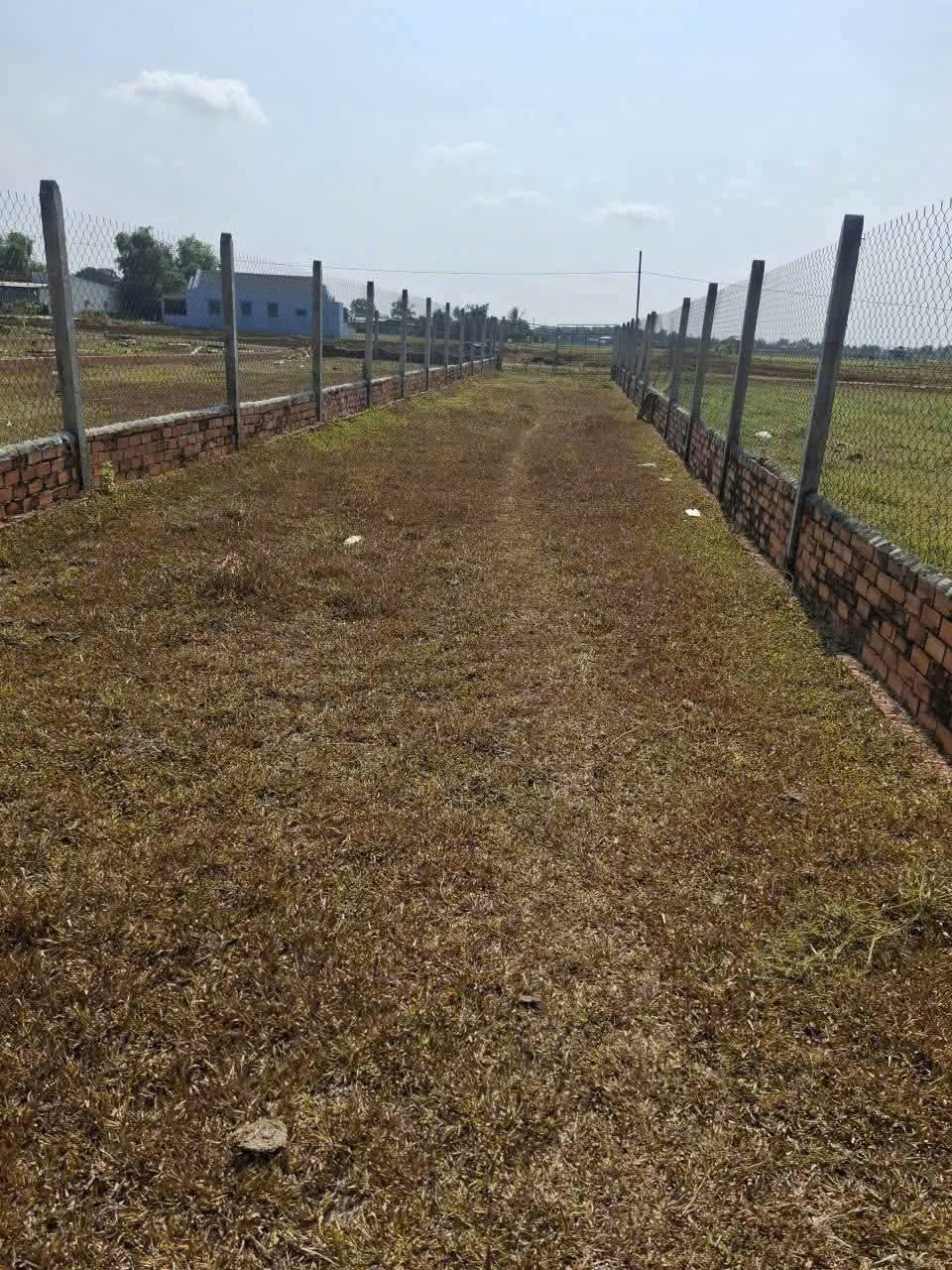 Bán 4000m2 đất ( 350m2 thổ) đường đá xanh xe hơi xã Đức Hòa Thượng, Đức Hòa giá 5,8 tỷ 3