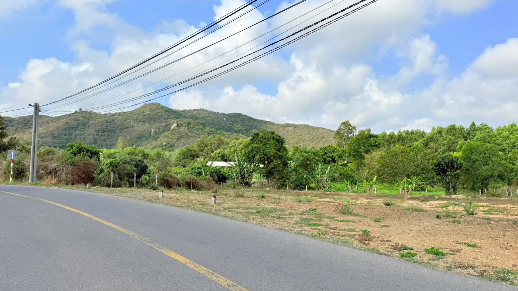 Cần bán Đất đường Tỉnh lộ 44A, Thị trấn Phước Hải, Diện tích 231m², Giá Thương lượng 3