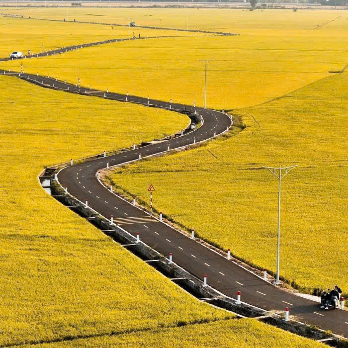 HÀNG NGỘP!! 870TR SANG TÊN NGAY LÔ ĐẤT NGANG 7- 156M2 MẶT TIỀN HƯƠNG LỘ 14  CÁNH ĐỒNG LÚA AN NHỨT 3