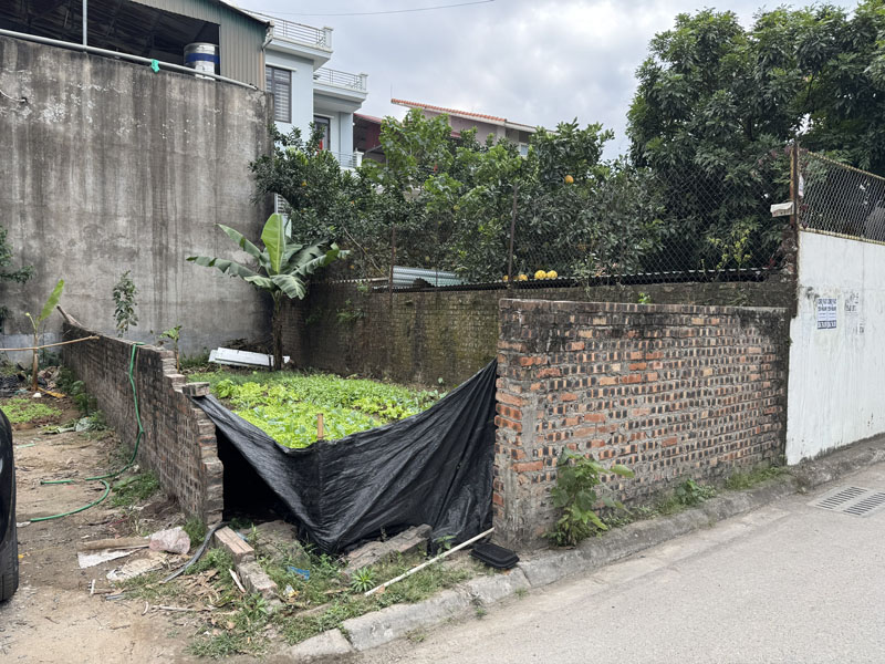 Cực Hiếm! Lô Góc 46,6m2 Đông Dư - Mặt Đường Ô Tô Tránh - Vị Trí Vàng Giáp Cầu Thanh Trì 6