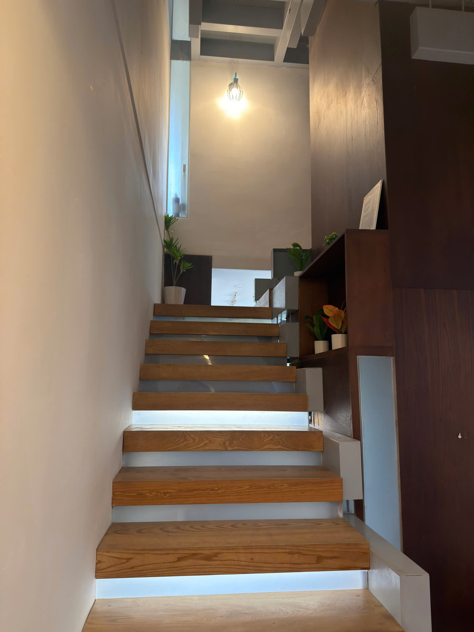 Cho thuê Biệt thự Phường Tân Phú, Quận 7, Diện tích 200m², Giá Thương lượng 4