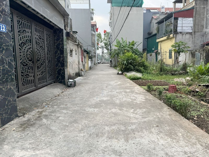 Bán Làng Vàng - Gia Lâm 86,3m2: Cách Nhà Văn Hóa 30m - Tiện Ích Ngập Tràn - An Cư Lý Tưởng 5