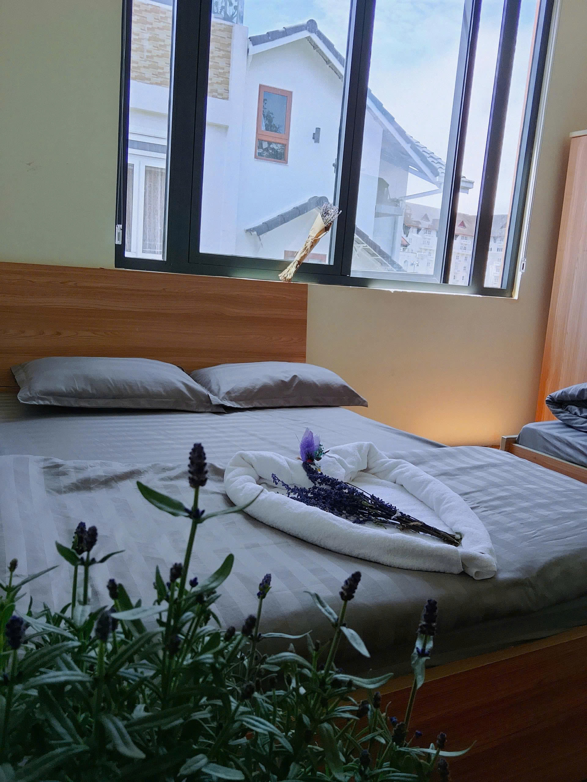 Cho thuê khách sạn 10 phòng 20 triệu/tháng Hoàng Văn Thụ Phường 5 Đà Lạt 3