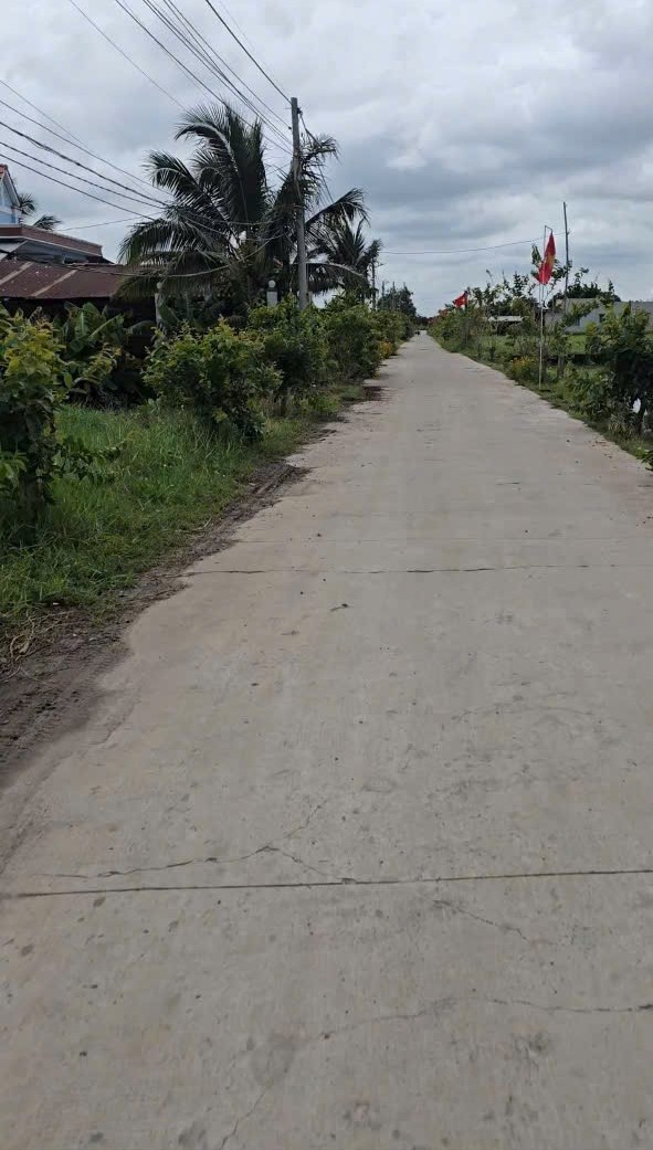 Bán đất thổ hẻm đường beton xe oto xã Đức Lập Hạ , Đức Hòa dt 590m2 giá 3 tỷ 2