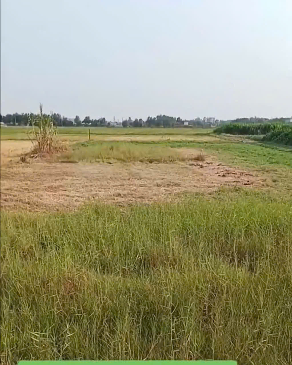 Bán đất thổ hẻm đường beton xe oto xã Đức Lập Hạ , Đức Hòa dt 590m2 giá 3 tỷ 3