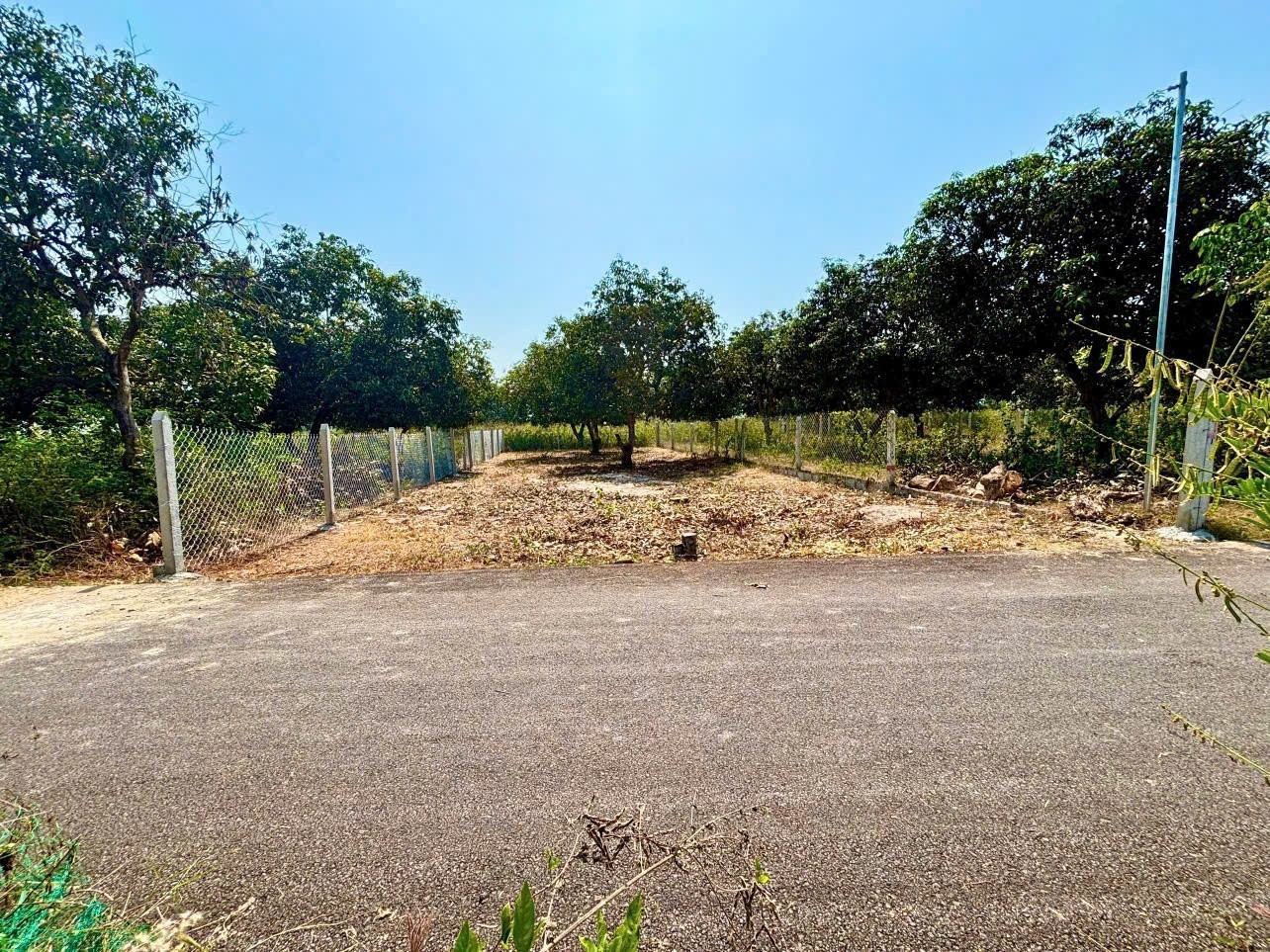 Hàng hiếm KDC Tân Khánh ngang 10m đường nhựa – Quỹ đất đẹp, giá mềm gần như không còn!