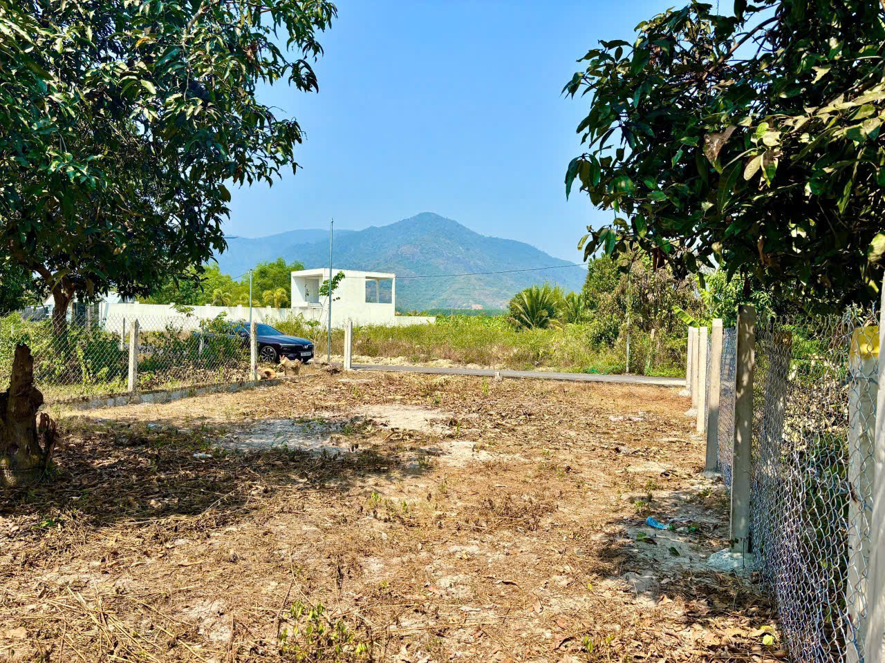 Hàng hiếm KDC Tân Khánh ngang 10m đường nhựa – Quỹ đất đẹp, giá mềm gần như không còn! 3