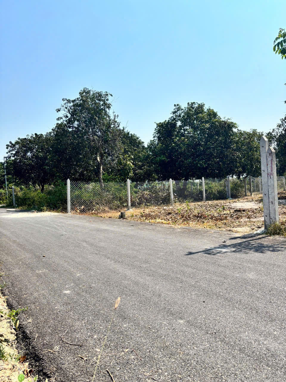 Hàng hiếm KDC Tân Khánh ngang 10m đường nhựa – Quỹ đất đẹp, giá mềm gần như không còn! 4