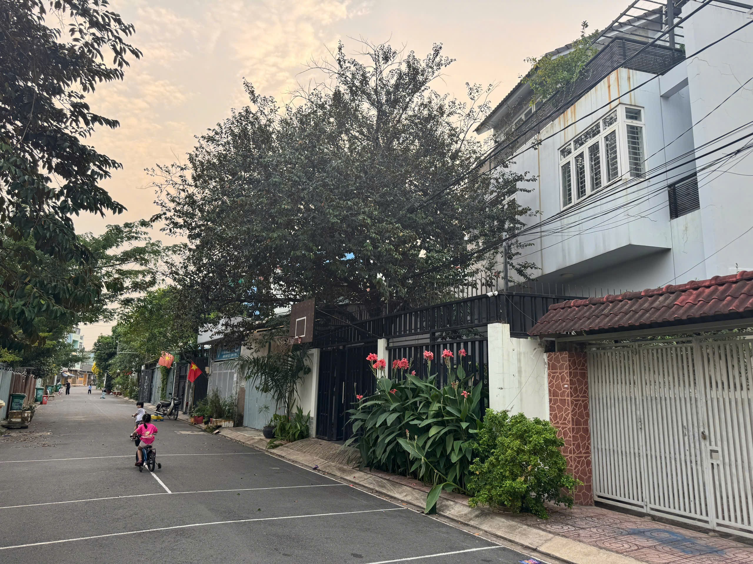 Cho thuê Biệt thự Thủ Đức, Hồ Chí Minh, Diện tích 225m², Giá 35 Triệu/tháng 6
