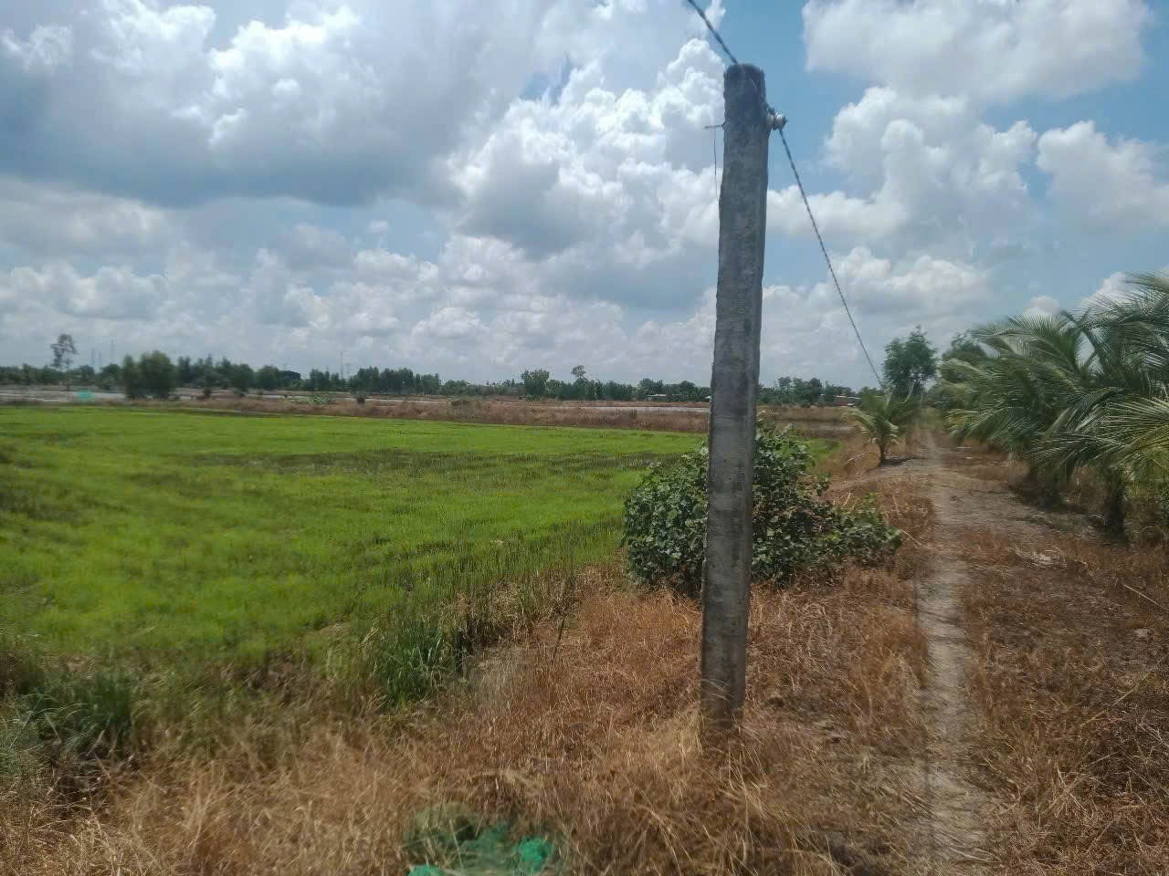 Bán đất lúa đường bờ kênh 4m xã Hòa Khánh Nam dt 5260m2 giá 3,4 tỷ 3