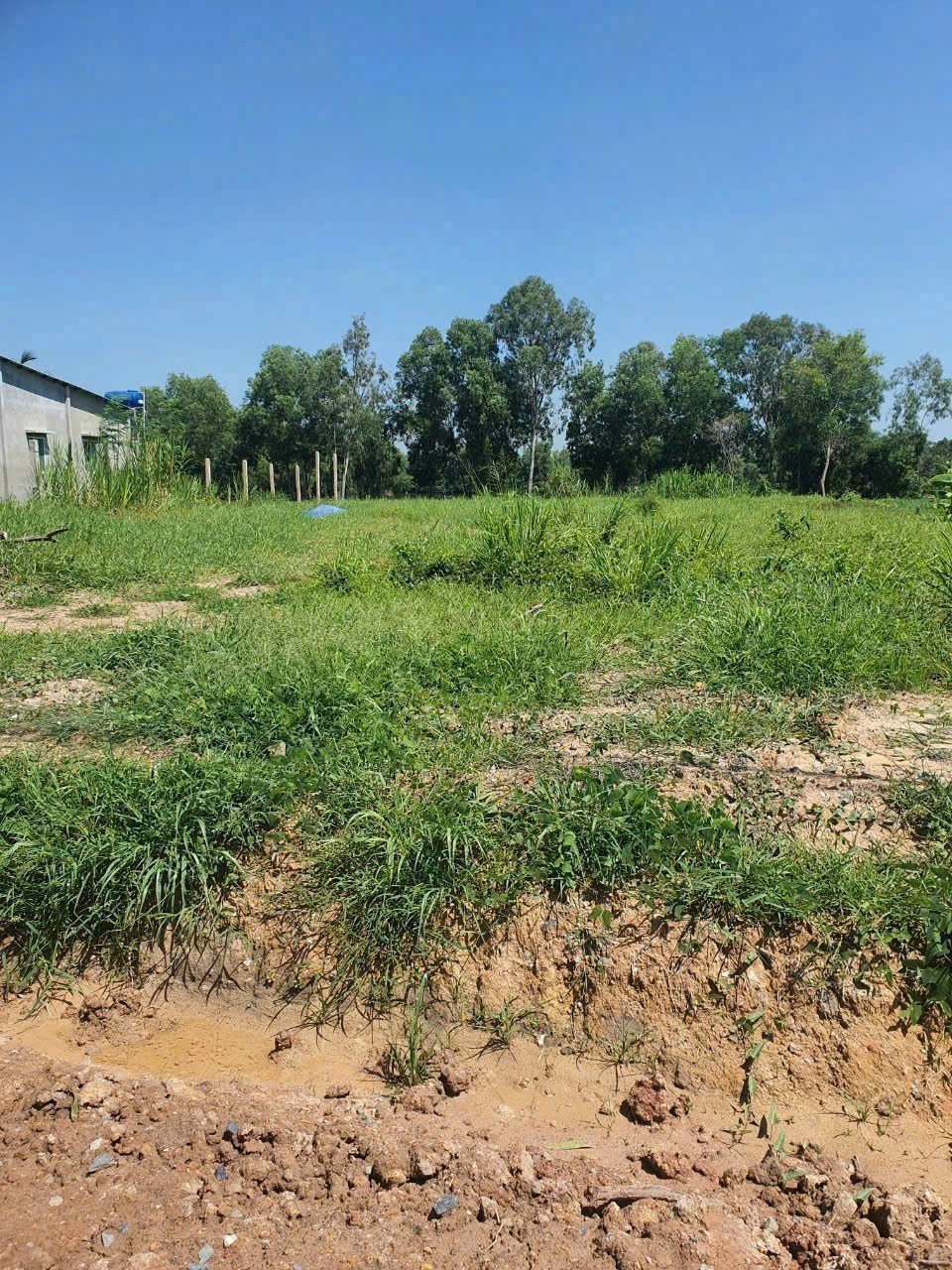 Bán đất mt đường nhựa Ấp Chánh, xã Tân Phú, Đức Hòa dt 2222m2 ( 2000m2 thổ) giá 12 tỷ 4