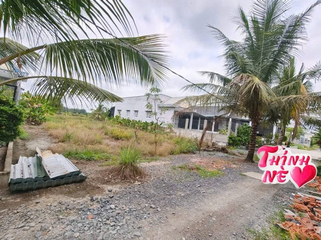 Bán đất ấp 2 xã Bình Đức dt 1000m2 full thổ giá chốt 3 tỷ 3