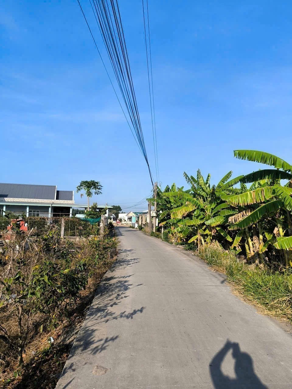Bán đất mt đường Cây Mắm, Long Cang , Cần Đước dt 213m2 full thổ giá chốt 1,3 tỷ 5
