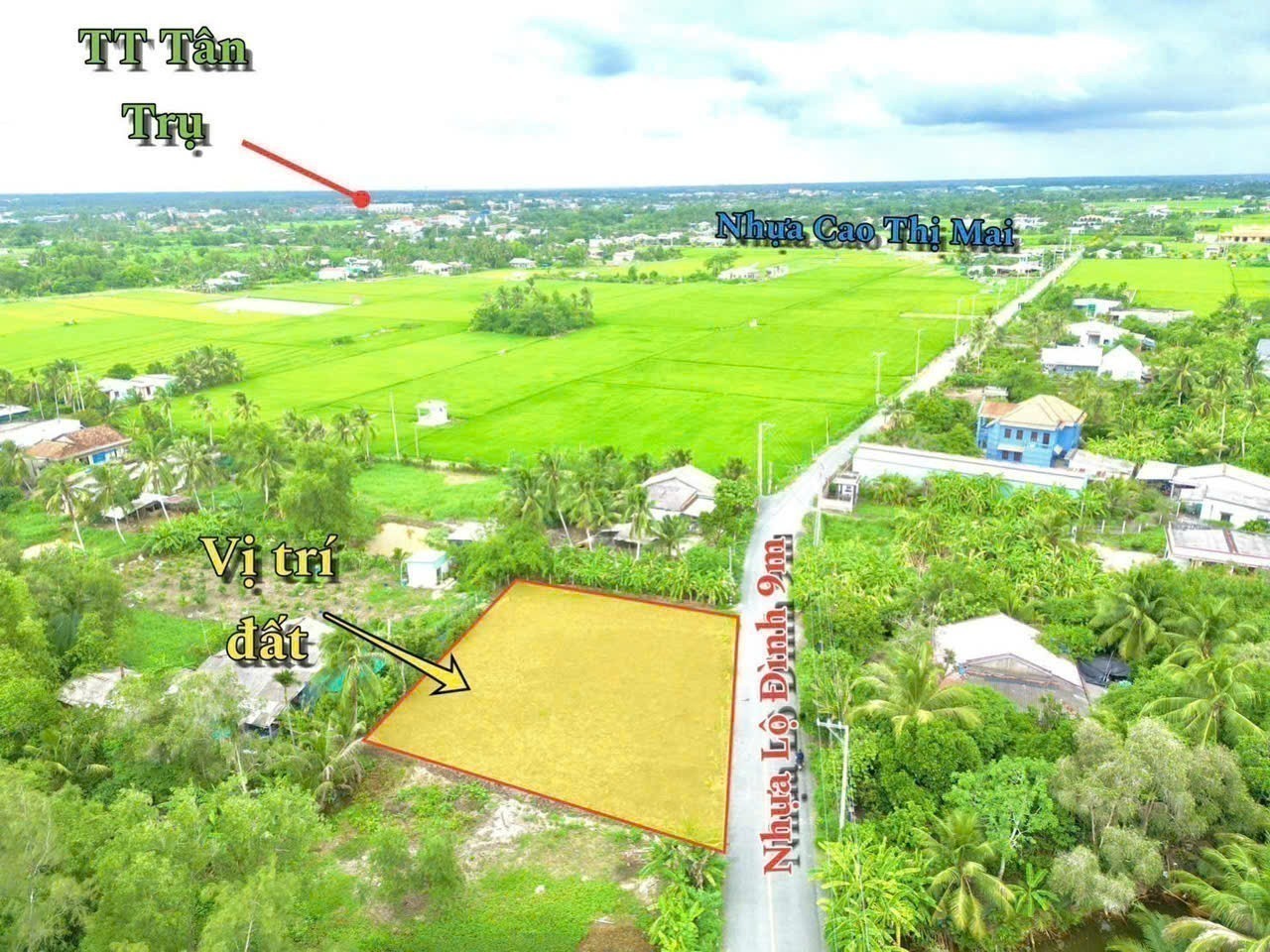 Bán đất mặt tiền đường nhựa Lộ Đình, xã Bình Trinh Đông , Tân Trụ dt 180m2 full thổ giá 1,05 tỷ 3