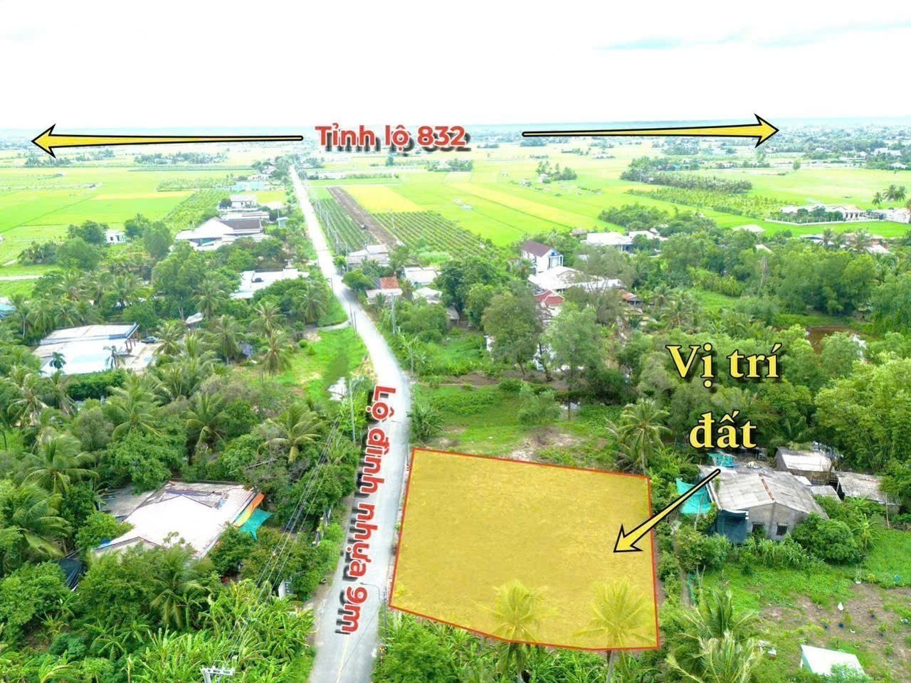 Bán đất mặt tiền đường nhựa Lộ Đình, xã Bình Trinh Đông , Tân Trụ dt 180m2 full thổ giá 1,05 tỷ 4