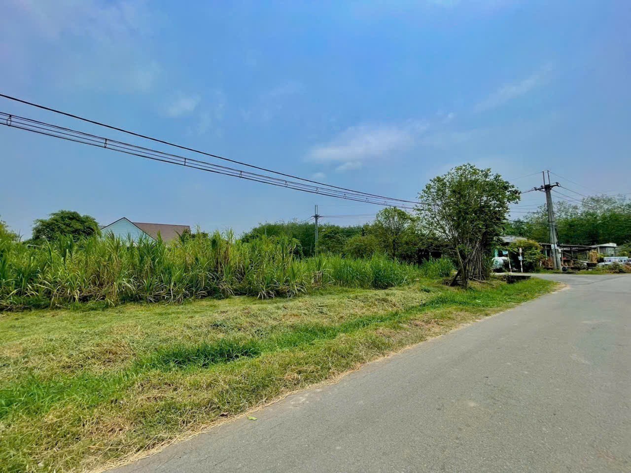 Bán đất góc 2 mặt tiền đường nhựa xã An Phú tdt 2000m2 ( 490m2 thổ ) giá 10,5 tỷ 3